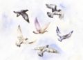 Paintings of Flying Birds of Watercolor Painting