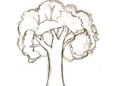 Simple Tree Drawing Ideas