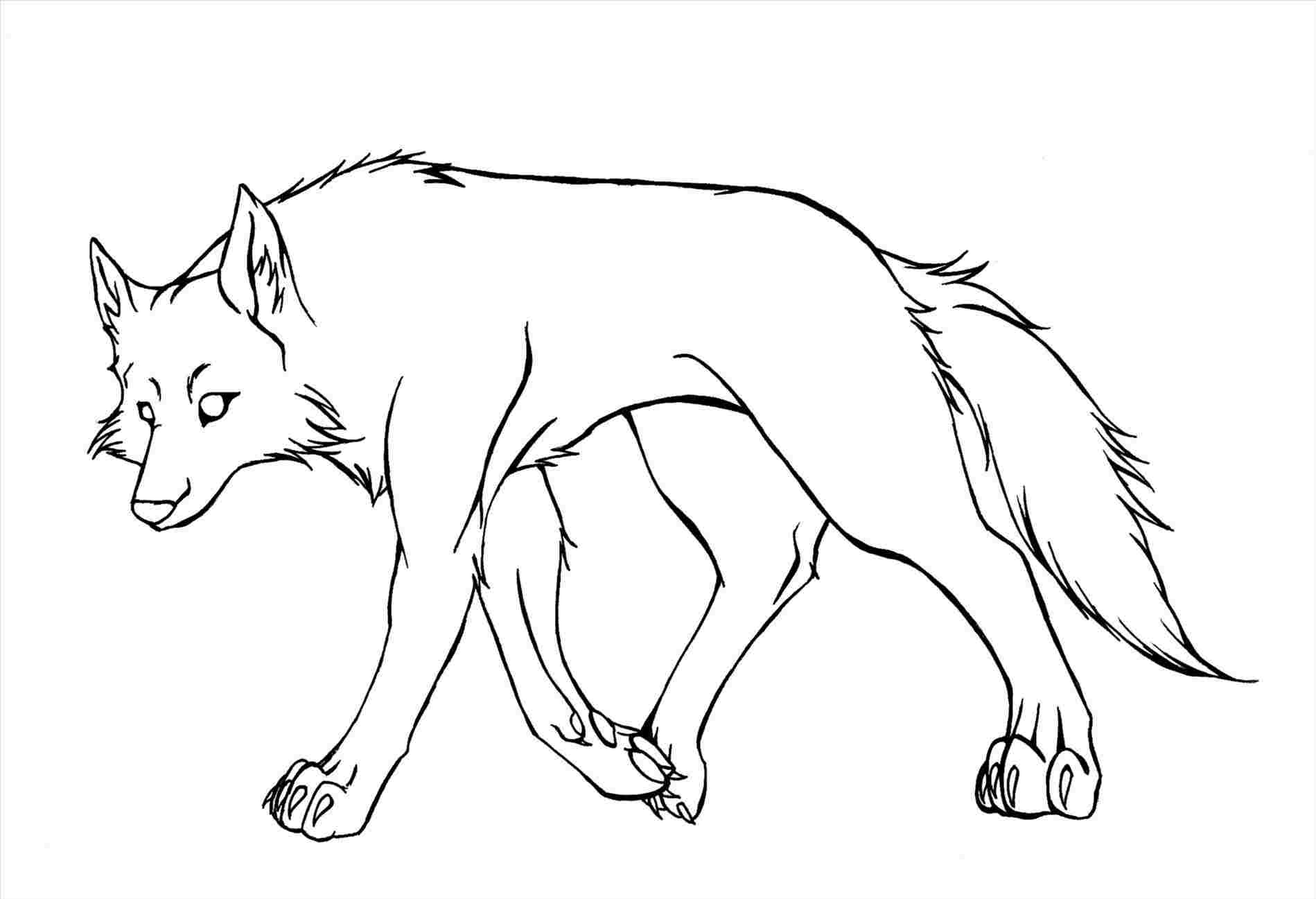 15 Wolf Drawing Easy for Kids - Visual Arts Ideas
