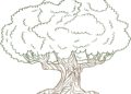 Tree Drawing Oak