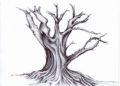 Tree Drawing of Dead Tree