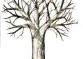 Tree Drawing without Leaves