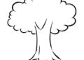 Very Simple Tree Drawing Ideas