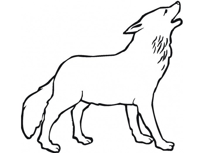 15 wolf drawing easy for kids  visual arts ideas