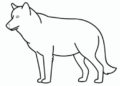 Wolf Drawing Easy Image