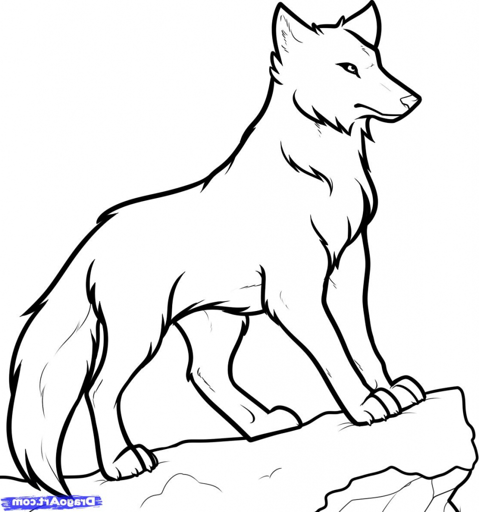15 Wolf Drawing Easy for Kids - Visual Arts Ideas