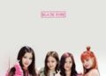 BLACKPINK Wallpaper Images For Android