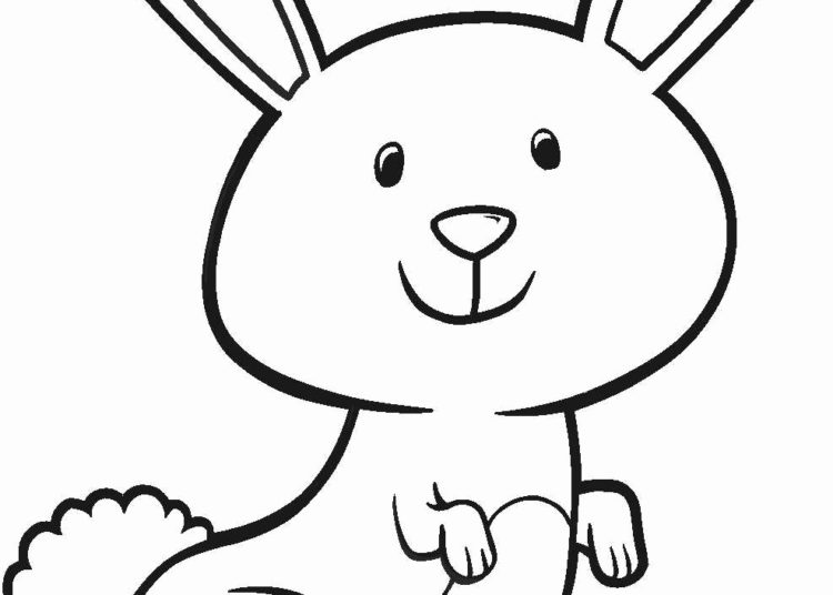  Easter Bunny Drawing Ideas - Visual Arts Ideas