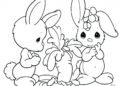 Easter Bunny Drawing Cute