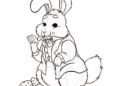 Easter Bunny Drawing Ideas Images