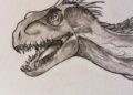 Indoraptor Drawing Head Images