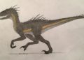 Indoraptor Drawing Inspiration 2019