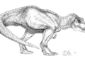 Indoraptor Drawing Pictures