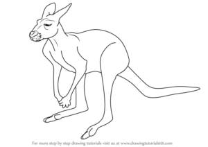 Kangaroo Drawing Ideas For Kids - Visual Arts Ideas