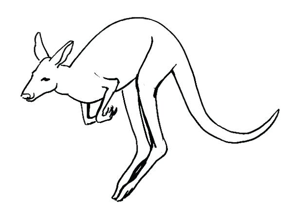 Kangaroo Drawing Ideas For Kids - Visual Arts Ideas