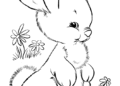 Little Easter Bunny Drawing Ideas