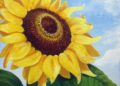 Sunflower Painting 2019