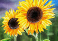 Sunflower Painting Ideas Images