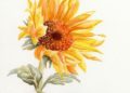 Sunflower Painting Ideas Photo