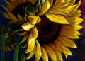 Sunflower Painting Image