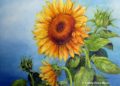 Sunflower Painting Inspiration Pictures
