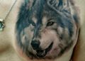 Wolf Tattoo Designs on Chest For Men