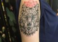 Wolf Tattoo Designs on Hand For Girl