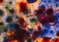 iPhone XS Wallpaper of Jellyfish