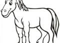 Preschool Coloring Pages of Horses