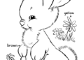 Preschool Coloring Pages of Rabbit Image