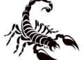 Tribal Scorpion Tattoo Design Concept