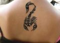 Tribal Scorpion Tattoo Design For Girl on Back