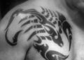 Tribal Scorpion Tattoo Design For Men on Upper Chest