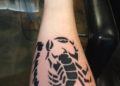 Tribal Scorpion Tattoo For Girl on Arm