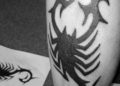 Tribal Scorpion Tattoo For Men on Hind Legs