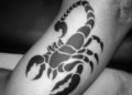 Tribal Scorpion Tattoo For Men on Inner Arm