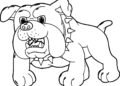 Angry Dog Coloring Pages