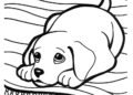 Big Puppy Coloring Pages