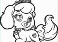 Cute Female Dog Coloring Pages