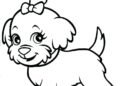 Cute Little Dog Coloring Pages