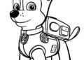 Dog Coloring Pages Pictures For Free