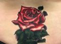 Lower Back Tattoo Design Ideas of Red Rose For Women