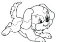 Puppy Coloring Pages Free Images