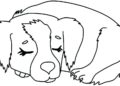 Puppy Coloring Pages Inspiration