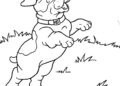 Puppy Coloring Pages Playing in The Ground