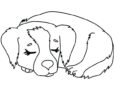 Sleeping Dog Coloring Pages