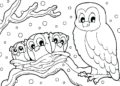 Winter Coloring Pages of Owl Family