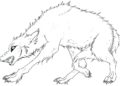 Angry Wolf Coloring Pages Pictures