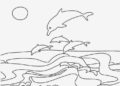 Beach Coloring Pages of Dolphins