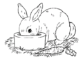 Bunny Coloring Pages Drink
